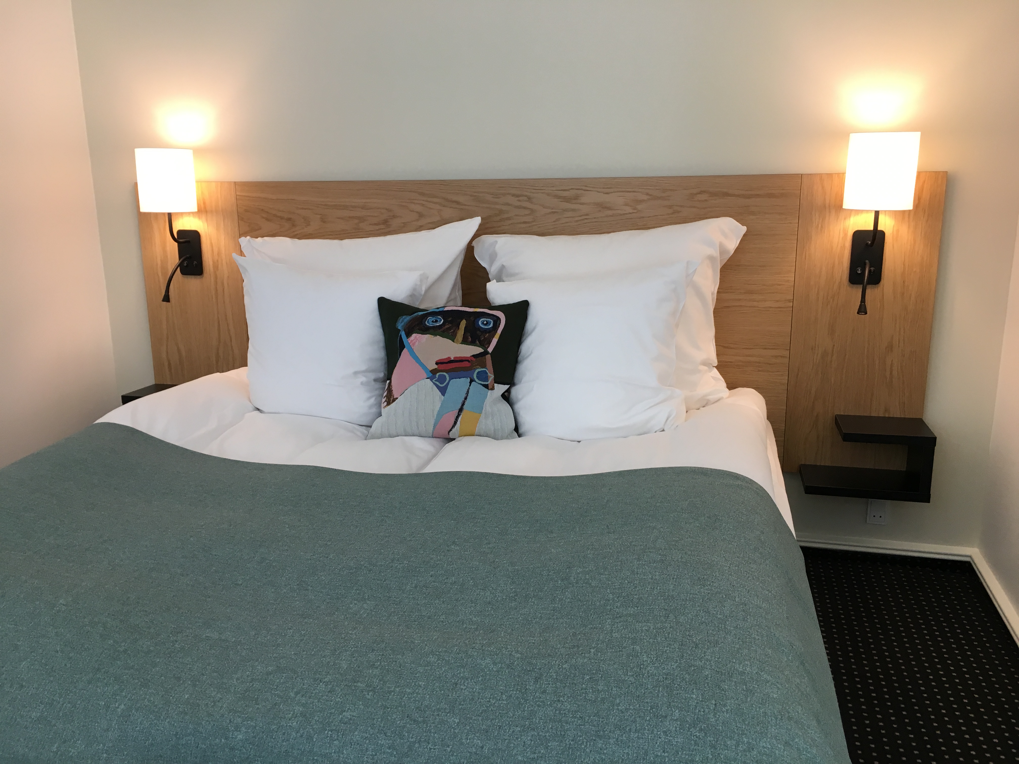 Hotel Koldingfjord -Skovly & Palæer